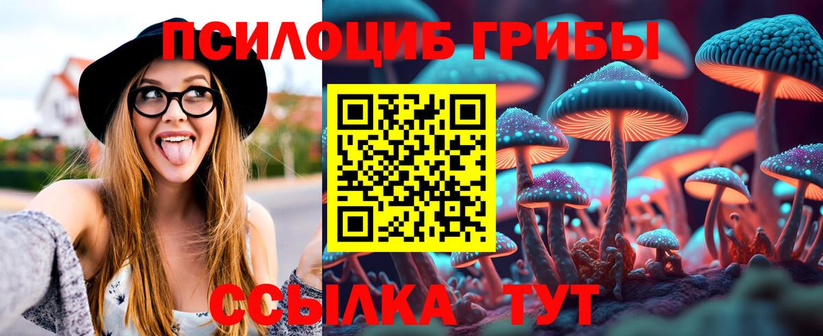Галлюциногенные грибы прущие грибы  Псилоцибиновые грибы Psilocybe  Южно-Сахалинск  Вход с VPN 