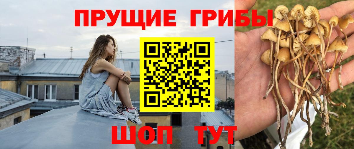 Галлюциногенные грибы прущие грибы Южно-Сахалинск